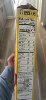 Toasted Whole Grain Oat Cereal