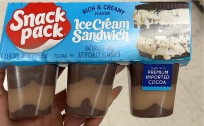 ICE CREAM SANDWICH PUDDING, ICE CREAM SANDWICH