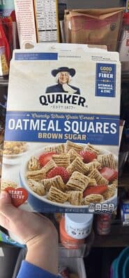 OATMEAL SQUARES BROWN SUGAR — contains FD&C Yellow No. 6