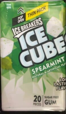 SPEARMINT SUGAR FREE GUM