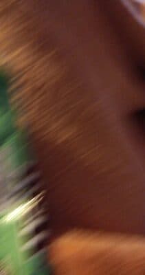 HOLIDAY MINT CHOCOLATE CANDIES, HOLIDAY MINT