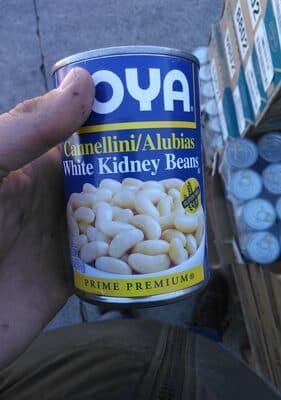 White Kidney Beans