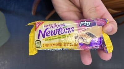 Fig newton