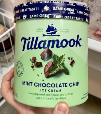 Mint chocolate chip ice cream