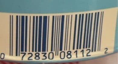 Chocolate chip ice cream