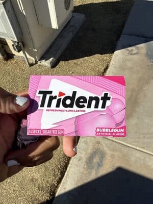 Trident Bubble Gum