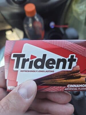 Trident Cinnamon