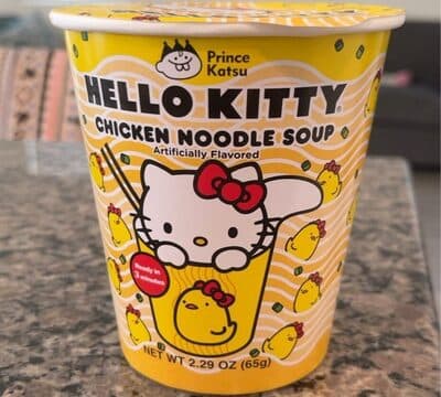 CHICKEN NOODLE SOUP, CHICKEN NOODLE