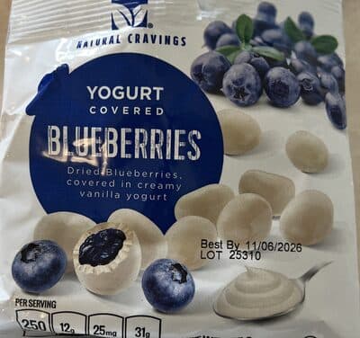 YOGURT COVERED BLUEBERRIES, YOGURT