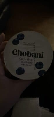 Greek Yogurt Blueberry on the Bottom