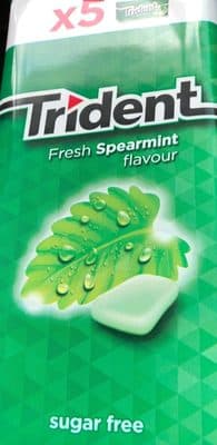 TRIDENT GUM SPEARMINT